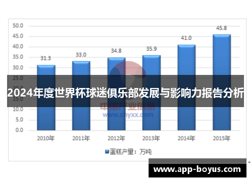 2024年度世界杯球迷俱乐部发展与影响力报告分析